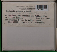 Image Associated With the Occurence